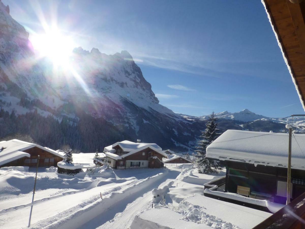 Chalet Verbrunnenhaus Grindelwald Apartment Bagian luar foto