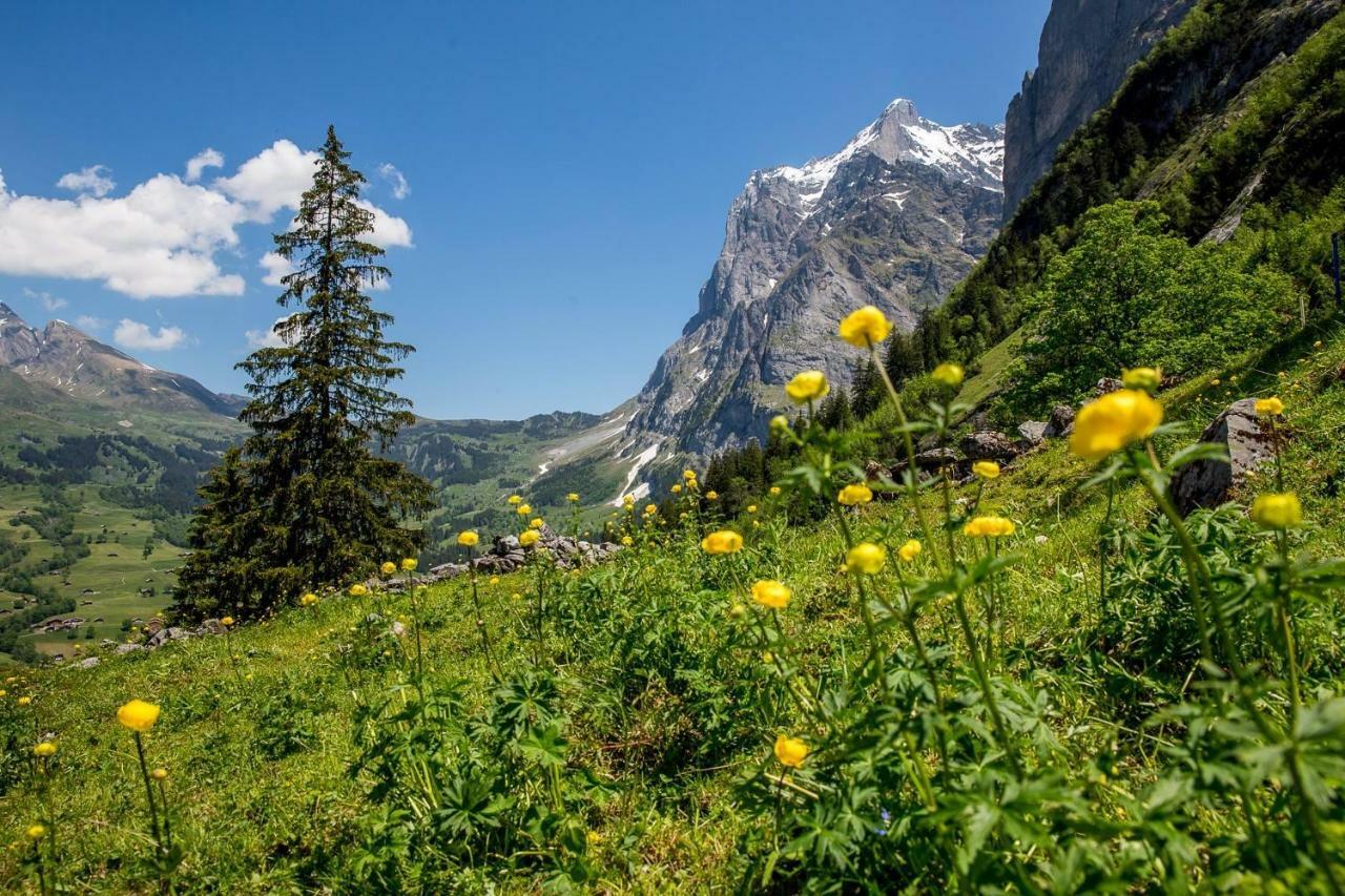 Chalet Verbrunnenhaus Grindelwald Apartment Bagian luar foto