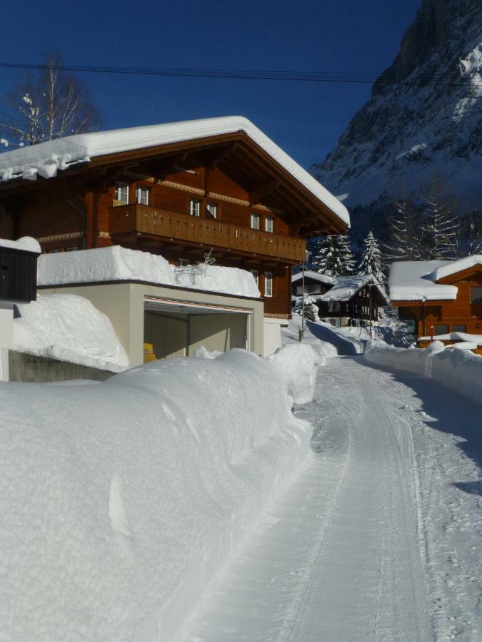 Chalet Verbrunnenhaus Grindelwald Apartment Bagian luar foto