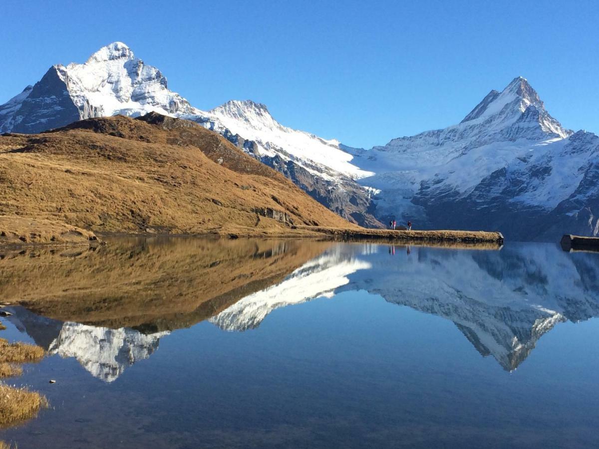 Chalet Verbrunnenhaus Grindelwald Apartment Bagian luar foto