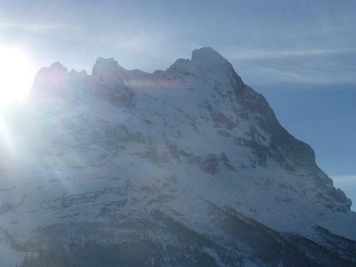 Chalet Verbrunnenhaus Grindelwald Apartment Bagian luar foto